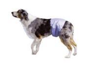 Poochpad PPMLG01 Large PoochPant Male Wrap