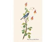 Buy Enlarge 0 587 03555 2P20x30 Black Throated Blue Warbler Paper Size P20x30