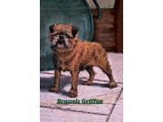 Buy Enlarge 0 587 04394 6P12x18 Typical Brussels Griffon Champion Paper Size P12x18