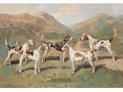 Buy Enlarge 0 587 04739 9P20x30 Fell Foxhounds Paper Size P20x30