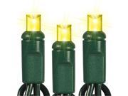 Queens of Christmas S 50MMGO 6G Yellow M5 LED Lights with 6 in. Spacing and Green Wire