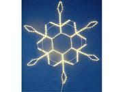 Queens of Christmas LED SFLAKE48 WW 48 in. Warm White LED Rope Light Snowflake