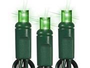 Queens of Christmas S 35MMGR 4G 5mm Conical Green Polka dot LED Lights with 4 in. Spacing and Green Wire
