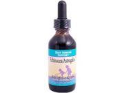 Herbs for Kids Immune Support Formulas Echinacea Astragalus Blend Alcohol Free 2 fl. oz. 41225