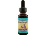 Herbs for Kids Immune Support Formula Alcohol Free Echinacea Astragalus Blend 1 fl. oz. 41224