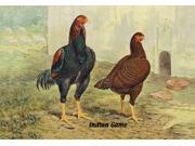 Buy Enlarge 0 587 05634 7P12x18 Indian Game Chickens Paper Size P12x18