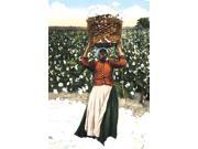 Buy Enlarge 0 587 07458 2P20x30 Woman with Basket of Cotton Paper Size P20x30