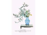 Buy Enlarge 0 587 26626 0P12x18 Yamanashi and Takejimayuri Wild Pear and Lily in a Blue and white Porcelain Vase Paper Size P12x18