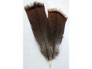 AzureGreen RFTPT Bronze Pre tail Turkey Feather 8 in.