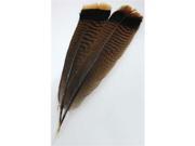 AzureGreen RFTTAI Bronze Turkey Tail Feather
