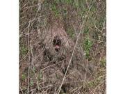 GhillieSuits GHIL P MOSSY Ghillie Poncho Mossy Oak