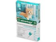 F.C.E. Advantage 2 Cat Under 5Lb 4Pack Kitten