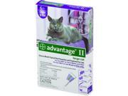 F.C.E. Advantage 2 Cat Over 10Lb 4Pack Purple