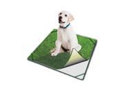 Poochpad PG1818T Small Indoor Turf Dog Potty Traveler