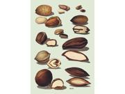 Buy Enlarge 0 587 08339 5P20x30 Nuts no.2 Paper Size P20x30
