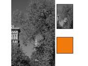 Heliopan 708205 82mm 22 Orange Glass Filter for Black and White Film