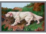 Buy Enlarge 0 587 04384 9C12X18 Typical English Setter Canvas Size C12X18