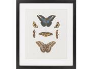 Surya Rug LJ4047 2933 Knorr Butterflies I Giclee Print Wall Art 29 x 33 in.