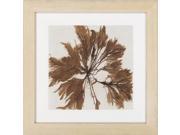 Surya Rug LJ4035 2424 Animals and Nature Brown Frame Wall Art 24 x 24 in.