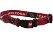 DoggieNation 716298231452 Medium Arizona Cardinals Dog Collar
