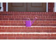 Austram Griffith Creek Designs 800770 1 Gallon Metal Watering Can Purple with Long Spout