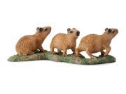CollectA 88541 Capybara Babies Wild Rodent Toy Animal Figurine Pack of 12