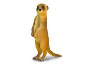 CollectA 88217 Meerkat Standing Wildlife Figurine Toy Model Replica Gift Pack of 12