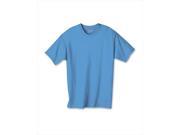 Hanes 5450 Authentic Tagless Kid Cotton T Shirt Carolina Blue Medium