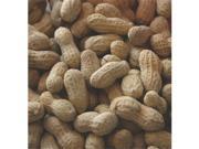 Alpine Ingredients Raw Peanut With Shell 50 Lb IN SHELL
