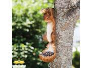 Evergreen Enterprises EG2BF447 Hanging Squirrel Feeder
