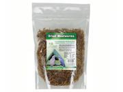 Songbird Essentials SE646 Mealworms 10 oz Package 284 gm