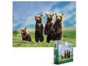 EuroGraphics 8300 0531 Bear Cubs Standing 300 Piece Puzzle Small Box