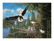 Outset Media Games OM51737 Nesting Eagles 1000 piece Puzzle