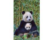 EuroGraphics 2400 0173 Panda Bear Baby Poster
