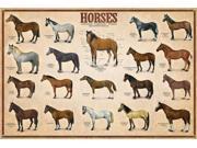 EuroGraphics 2450 0078 Horses Poster