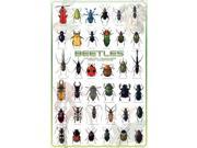 EuroGraphics 2450 0081 Beetles Poster