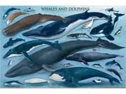 EuroGraphics 2450 0082 Whales Dolphins Poster