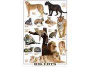 EuroGraphics 2450 0125 Big Cats Poster