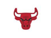 Chicago Bulls Logo on the GoGo