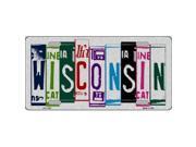 Smart Blonde LPC 1063 Wisconsin License Plate Art Brushed Aluminum Metal Novelty License Plate