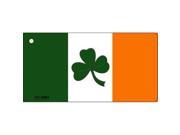 Smart Blonde KC 6885 Irish Flag Novelty Key Chain