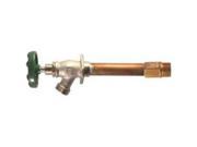Arrowhead Brass Hydrant Frost Free 6In 456 06LF