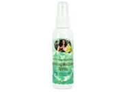 Frontier Natural 229931 Angel Baby Pregnancy Morning Wellness Spray