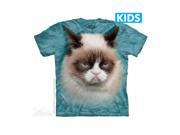 The Mountain 1536880 Grumpy Cat Kids T Shirt Small