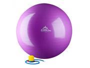 Black Mountain Products 65cm Purple Gym Ball 65 cm. Static Strength Exercise Stability Ball Purple