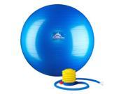 Black Mountain Products PSBLUE 65CM 65 cm. Professional Grade Exercise Stability Ball Blue