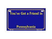 Smart Blonde MP 1146 Pennsylvania State Background Metal Novelty Motorcycle License Plate