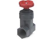 NDS GVG 0750 T 0.75 in. Fip PVC Gate Valve