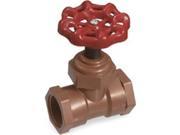 NDS SCL 0500 T 0.5 in. Fip Celcon Globe Valve