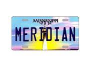 Smart Blonde LP 6562 Meridian Mississippi Novelty Metal License Plate